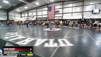 49 lbs Quarterfinal - Gavin Hancey, Fremont Wrestling vs Keagan Harwood, North Sevier Wolf Pack