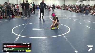 60 lbs Cons. Round 4 - Harper Clark, Algonac Mat Rats vs Sophia Gibbons, NBWC