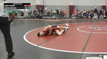 133 lbs Quarterfinal - Chris Cannon, Minnesota vs Mason Leiphart, Franklin & Marshall