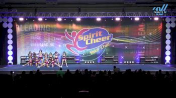 CT Vipers - D4NGEROU2 [2025 L4.2 Senior - D2 Day 2] 2025 Spirit Cheer Super Nationals