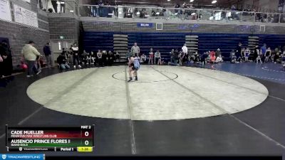 75 lbs Quarterfinal - Ausencio Prince Flores Iii, Idaho Gold vs Cade Mueller, Mountain Man Wrestling Club