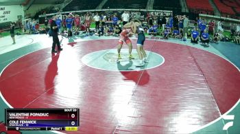 138 lbs Semis & Wb (16 Team) - Valentine Popadiuc, New Mexico vs Cole Fenwick, Utah Black