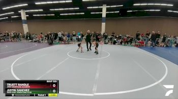 63 lbs Quarterfinal - Truett Randle, Apex Grappling Academy vs Justin Sanchez, Dead Shot Wrestling Club