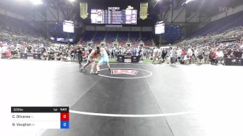 220 lbs Rnd Of 64 - Connor Olivares, Florida vs Brady Vaughan, Michigan