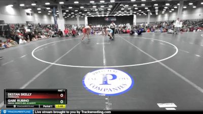 165 lbs Champ. Round 2 - Gabe Rubino, Ubasa Wrestling Academy vs Destan Skelly, Minnesota