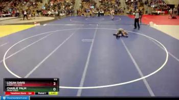 113 lbs Champ. Round 2 - Logan Davis, Albert Lea Area vs Charlie Palm, Minnetonka