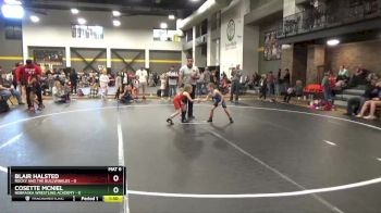 46 lbs Round 3 (4 Team) - Cosette Mcniel, Nebraska Wrestling Academy vs Blair Halsted, Rocky And The Bullwinkles