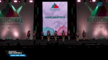USA Wildcats - Mini Marvels [2025 L1 Mini - Small Day 1] 2025 The Northeast Regional Summit