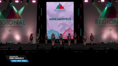 USA Wildcats - Mini Marvels [2025 L1 Mini - Small Day 1] 2025 The Northeast Regional Summit