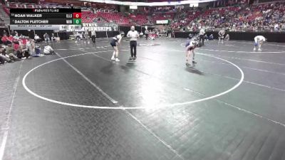 D2-120 lbs Champ. Round 1 - Dalton Fletcher, Wittenberg-Birnamwood vs Noah Walker, Ellsworth