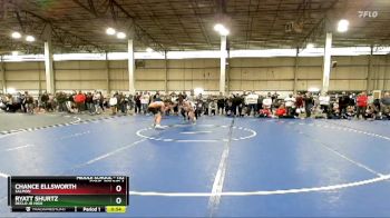 132 lbs Cons. Round 4 - Ryatt Shurtz, Declo Jr High vs Chance Ellsworth, Salmon