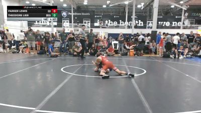 91 lbs Rr Rnd 1 - Parker Lewis, Diamond State Inferno - MS vs Theodore Lieb, Broad Axe - MS