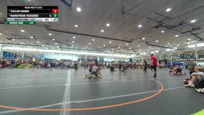 157 lbs Quarterfinal - Kawayran Vazquez, Unattached vs Collin Hamm, .