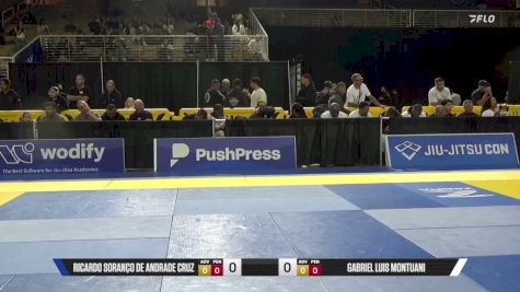 Silvania Maria Monteiro vs Patrícia Maria N. Fontes Dos San 2026 Pan Jiu Jitsu IBJJF Championship