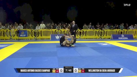 Wellington Da Silva Andrade vs Marco Antonio Backes Sampaio 2025 Pan IBJJF Jiu-Jitsu No-Gi Championship