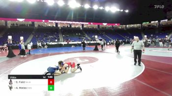175 lbs Semifinal - Shane Field, Salem vs Anthony Matas, Essex