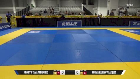 Norman Julian Velazquez vs Johnny J. Tama Apolinario 2026 American National IBJJF Jiu-Jitsu Championship