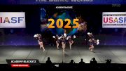 Academy Blackatz [2025 Senior Small Pom Semis] 2025 The Dance Worlds