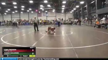 80 lbs Round 1 - Mateo Gallegos, PA Gold vs Cain Crosson, Team USA