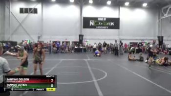 52 lbs Round 4 (6 Team) - Tanner Lotier, Team Nauman vs Santino DeLeon, PA Alliance White