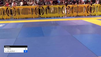 TRIEU TRAN vs ANTHONY DELACRUZ 2024 American National IBJJF Jiu-Jitsu Championship