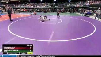 6 lbs Quarterfinal - Luke Burgess, Austin Lake Travis vs Joseph Liescheski, Allen