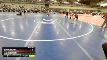 85 lbs Cons. Round 4 - Aaden Demery, Diamond Youth Wrestling-AA  vs Gavin Wilson, Rolla Wrestling Club-AAA