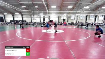 215 lbs Consi Of 8 #2 - Jose Martinez, Apple Wrestling Academy vs Salem Awad, Scanlan Wrestling Academy