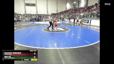 101 lbs Cons. Round 5 - Bao Ha, West Springfield vs Zackary Brenner, Ithaca Sr HS