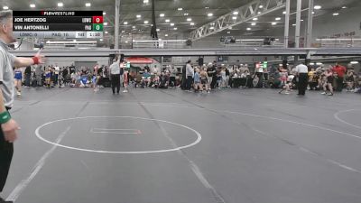 84 lbs Round 1 (4 Team) - Vin Antonelli, PA Gold vs Joe Hertzog, Lions Den WC