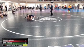 75 lbs Placement (4 Team) - Tate Halver, Chaska/Chanhassen vs Sawyer Vulcan, Centennial