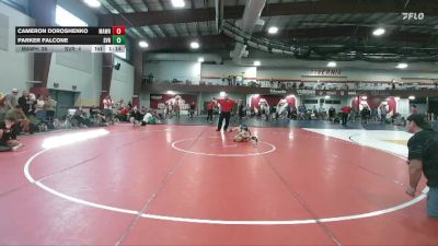 76 lbs Finals (2 Team) - Cameron Doroshenko, Mat Assassins White vs Parker Falcone, Steel Valley Renegades