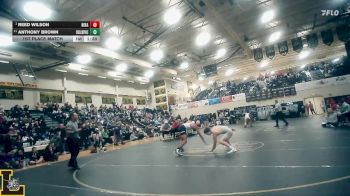 157 lbs 1st Place Match - Reed Wilson, Nixa vs Anthony Brown, Collinsville