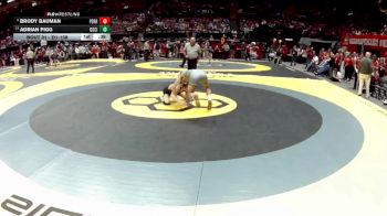 D1-138 lbs Cons. Round 2 - Brody Bauman, Perrysburg vs Adrian Pigg, Dub. Scioto