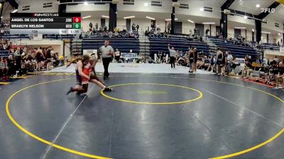 138 lbs Round 1 (16 Team) - Braelyn Nelson, Gilmer County vs Angel De Los Santos, Jenkins