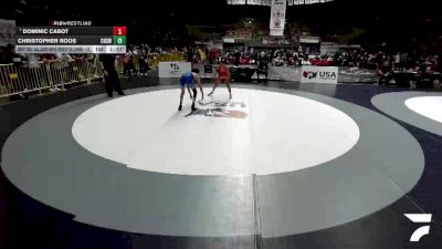 All Cadet Boys Freestyle Lower - 113 lbs Champ. Round 2 - Dominic Cabot vs Christopher Roos, Calabasas High School Wrestling