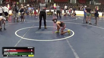 78 lbs Round 3 (6 Team) - Abram McCall, Ninja vs David Wesierski, Metro All Stars