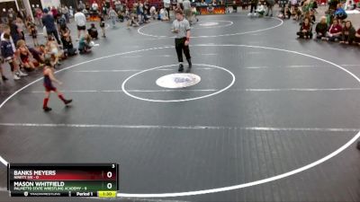 50 lbs Round 2 (3 Team) - Mason Whitfield, Palmetto State Wrestling Academy vs Banks Meyers, Ninety Six