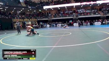 145 lbs Quarterfinal - Christian Marquez-Hopson, Redington Sr. Jr/Sr High School vs Justus Grimes, Homer High School Mariners