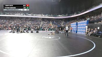7A 113 lbs 3rd Place Match - Tripp Petit, Mooresville High School vs Ryder Menard, Lake Norman High School