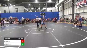 136 lbs Consi Of 4 - Alexandria Alli, Stieber Elite vs Aevri Ciha, Cambridge