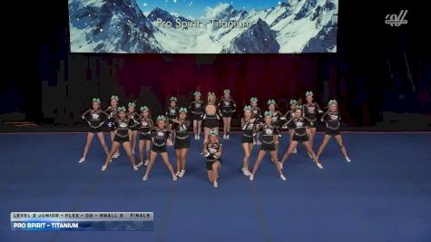 Pro Spirit - Titanium [2026 L2 Junior - Flex - D2 - Small B Finals] 2026 The D2 Summit
