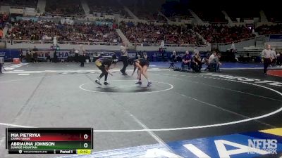 D1-107 lbs Cons. Round 3 - Mia Pietryka, Campo Verde vs Abriauna Johnson, Sunrise Mountain