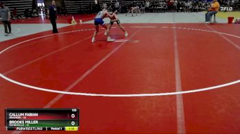 135 lbs Quarterfinals (8 Team) - Callum Fabian, Brainerd vs Brooks Miller, Paynesville