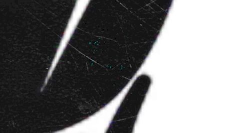 RUN JUNKIE: Sheeeeet! -Tyson Gay