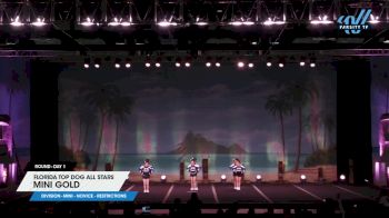 Florida Top Dog All Stars - Mini Gold [2025 L1 Mini - Novice - Restrictions Day 1] 2025 The American Open Orlando Nationals