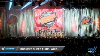 Buckeye Cheer Elite - Wildcats [2019 Senior - D2 - Small 3 Day 2] 2019 WSF All Star Cheer and Dance Championship