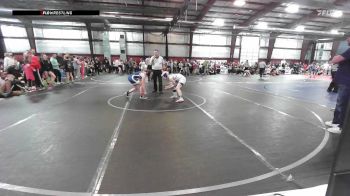 115 lbs Quarterfinal - Zoey Diedel, Lehighton vs Ava DeSimone, Wayne