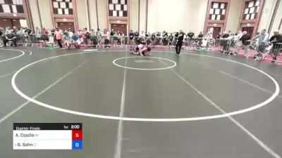 220 lbs Quarterfinal - Antonio Cipollo, Ny vs Brayden Sohn, Ct