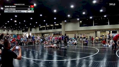 65 lbs Round 1 (6 Team) - Noah Sladek, Team Arkansas vs Lark Strong, BS Wrestling